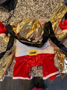 Boxing Champ Frontal Halloween Dog Costume Size L